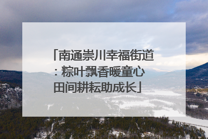 南通崇川幸福街道：粽叶飘香暖童心 田间耕耘助成长