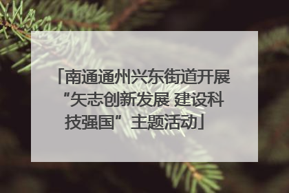 南通通州兴东街道开展“矢志创新发展 建设科技强国”主题活动
