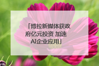 博拉新媒体获政府亿元投资 加速AI企业应用