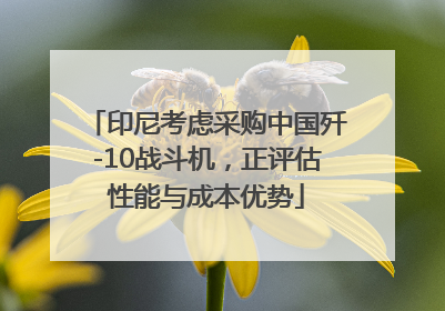 印尼考虑采购中国歼-10战斗机，正评估性能与成本优势