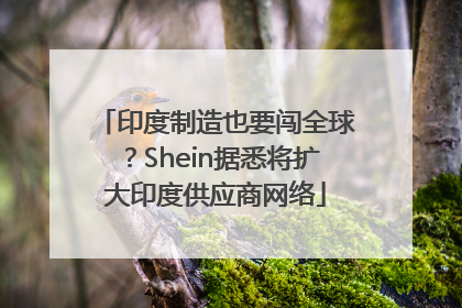印度制造也要闯全球？Shein据悉将扩大印度供应商网络