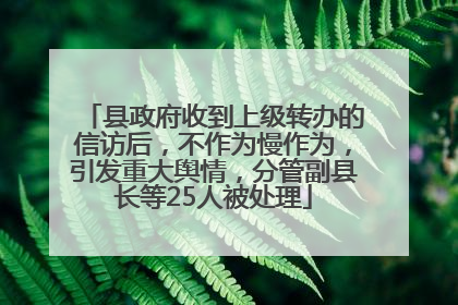 县政府收到上级转办的信访后，不作为慢作为，引发重大舆情，分管副县长等25人被处理