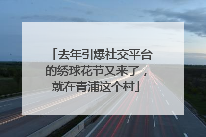 去年引爆社交平台的绣球花节又来了，就在青浦这个村
