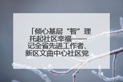 倾心基层“智”理 托起社区幸福——记全省先进工作者、新区文曲中心社区党委书记董世弘