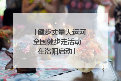 健步丈量大运河 全国健步走活动在洛阳启动