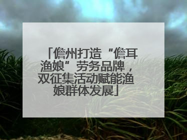 儋州打造“儋耳渔娘”劳务品牌，双征集活动赋能渔娘群体发展