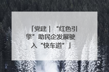 党建｜“红色引擎”助民企发展驶入“快车道”
