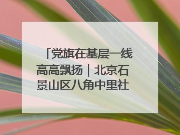 党旗在基层一线高高飘扬｜北京石景山区八角中里社区党委：用脚步丈量民生