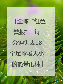 全球“红色警报”  每分钟失去18个足球场大小的热带雨林