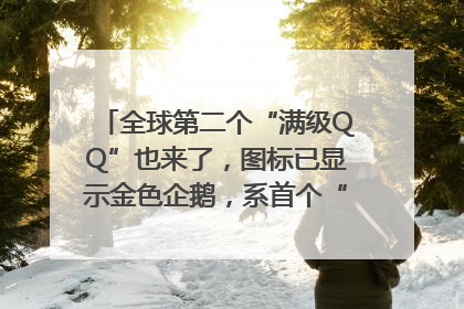 全球第二个“满级QQ”也来了，图标已显示金色企鹅，系首个“满级QQ”的小号