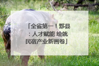 全省第一！黟县：人才赋能 绘就民宿产业新画卷