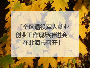 全区退役军人就业创业工作现场推进会在北海市召开