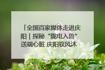 全国百家媒体走进庆阳｜探秘“陇电入鲁”送端心脏 庆阳驭风沐光点亮齐鲁万家