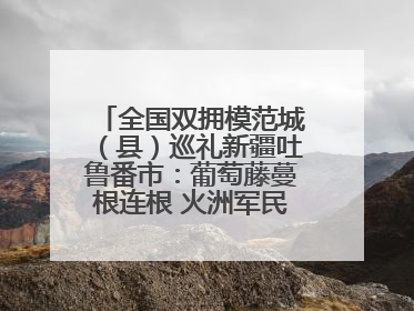 全国双拥模范城（县）巡礼新疆吐鲁番市：葡萄藤蔓根连根 火洲军民心连心