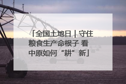 全国土地日｜守住粮食生产命根子 看中原如何“耕”新