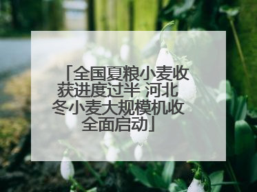 全国夏粮小麦收获进度过半 河北冬小麦大规模机收全面启动