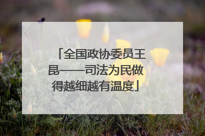全国政协委员王昆——司法为民做得越细越有温度
