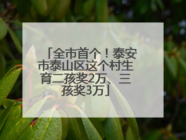 全市首个！泰安市泰山区这个村生育二孩奖2万、三孩奖3万