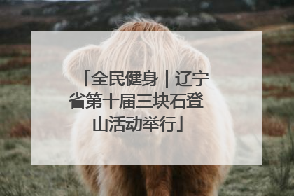 全民健身｜辽宁省第十届三块石登山活动举行