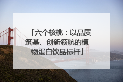 六个核桃：以品质筑基、创新领航的植物蛋白饮品标杆