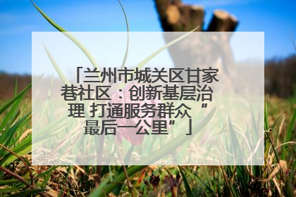 兰州市城关区甘家巷社区：创新基层治理 打通服务群众“最后一公里”