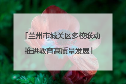 兰州市城关区多校联动推进教育高质量发展