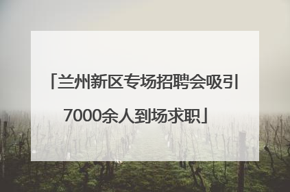 兰州新区专场招聘会吸引7000余人到场求职