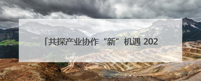 共探产业协作“新”机遇 2025金熊猫全球创新创业大赛启动