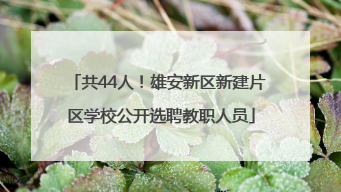 共44人！雄安新区新建片区学校公开选聘教职人员