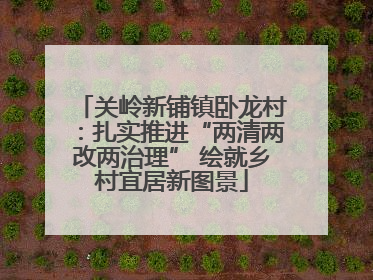 关岭新铺镇卧龙村：扎实推进“两清两改两治理” 绘就乡村宜居新图景