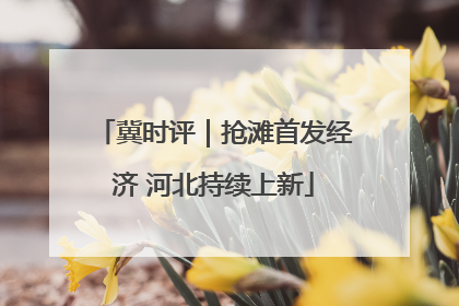 冀时评｜抢滩首发经济 河北持续上新