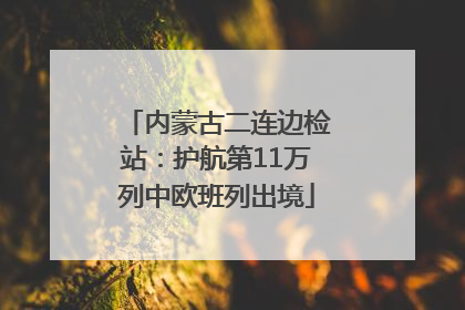 内蒙古二连边检站：护航第11万列中欧班列出境