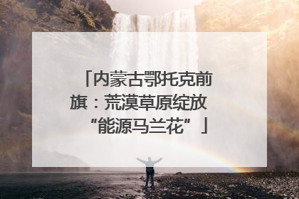 内蒙古鄂托克前旗：荒漠草原绽放“能源马兰花”