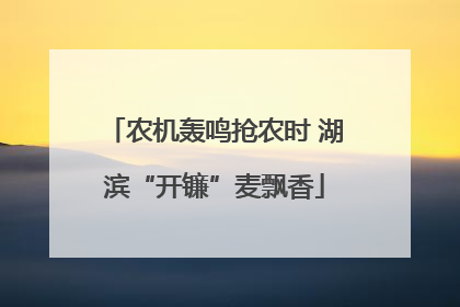农机轰鸣抢农时 湖滨“开镰”麦飘香