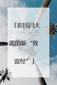 农民闫大雷的新“致富经”