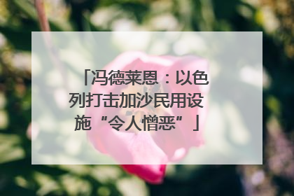冯德莱恩：以色列打击加沙民用设施“令人憎恶”