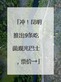 冲！昆明推出9条吃菌观光巴士，票价→