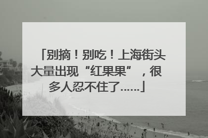 别摘！别吃！上海街头大量出现“红果果”，很多人忍不住了……
