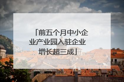 前五个月中小企业产业园入驻企业增长超三成
