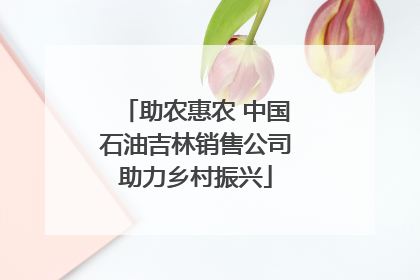 助农惠农 中国石油吉林销售公司助力乡村振兴