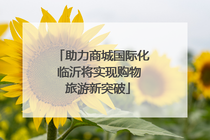 助力商城国际化 临沂将实现购物旅游新突破
