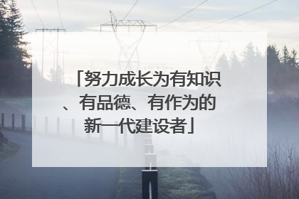 努力成长为有知识、有品德、有作为的新一代建设者