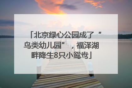 北京绿心公园成了“鸟类幼儿园”，福泽湖畔降生8只小鸳鸯