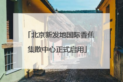 北京新发地国际香蕉集散中心正式启用