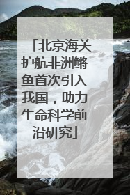 北京海关护航非洲鳉鱼首次引入我国，助力生命科学前沿研究