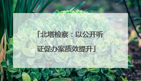 北塔检察：以公开听证促办案质效提升