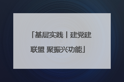 基层实践丨建党建联盟 聚振兴功能