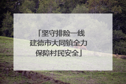 坚守排险一线 建德市大同镇全力保障村民安全