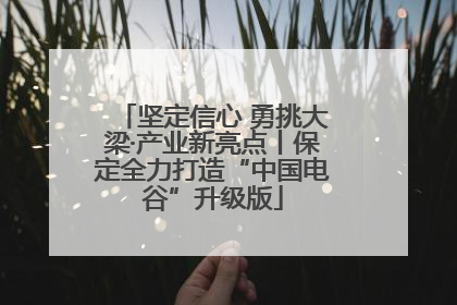 坚定信心 勇挑大梁·产业新亮点丨保定全力打造“中国电谷”升级版