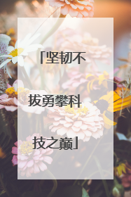 坚韧不拔勇攀科技之巅